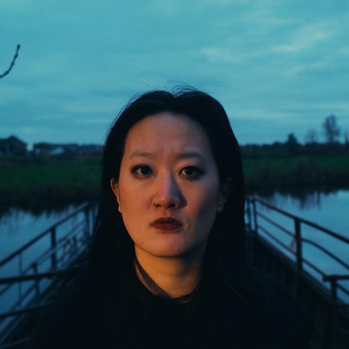 Image De Afhaalchinees: Thuisbezorgd