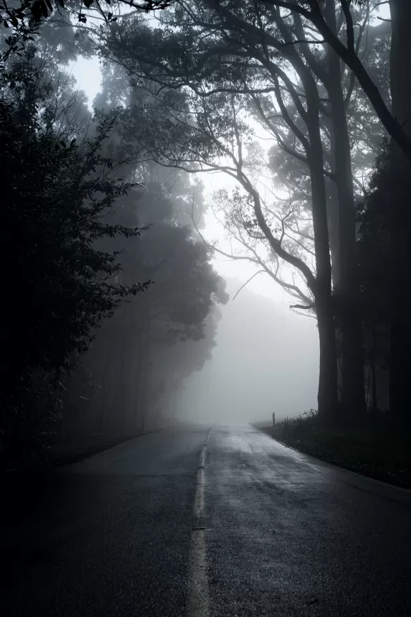 Image Horrorfilms en de weg naar diversiteit en representatie
