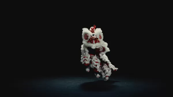 Image LION: een gespreksstarter om de stilte te doorbreken